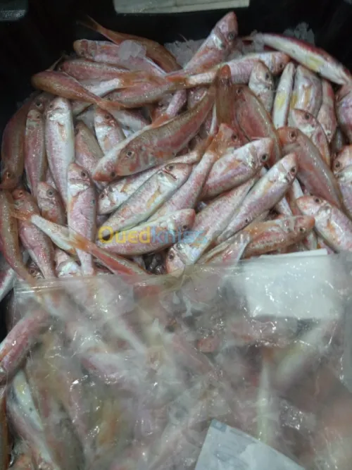  distributions des poissons