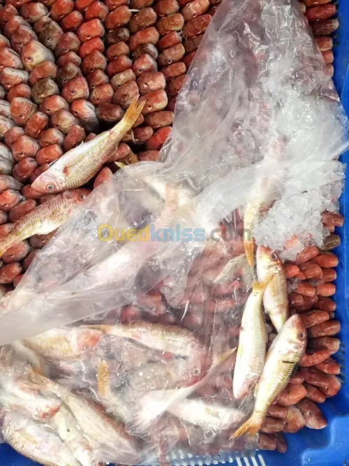  distributions des poissons