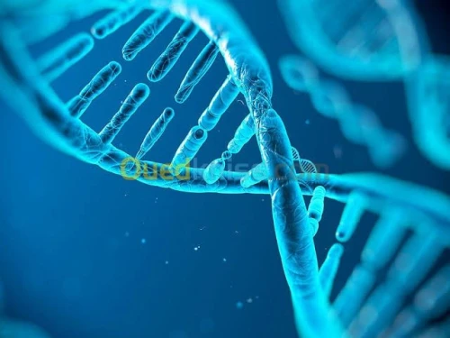 Cours sciences naturelles bac 2021