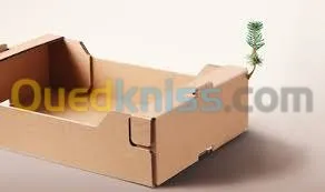 production et transformation de carton