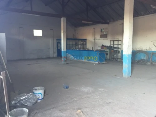 Location Hangar Guelma Belkheir