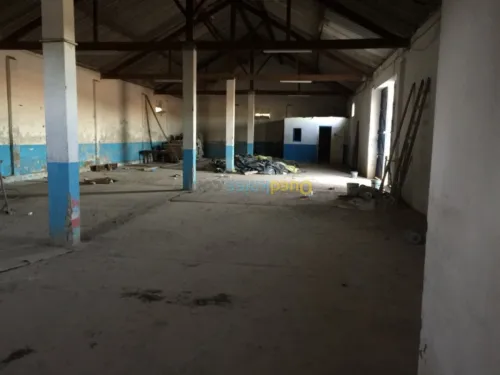 Location Hangar Guelma Belkheir