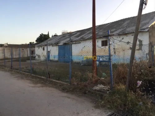 Location Hangar Guelma Belkheir