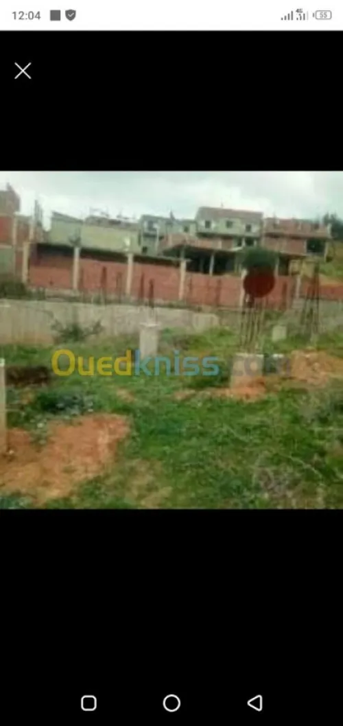 Vente Terrain Blida Ain romana