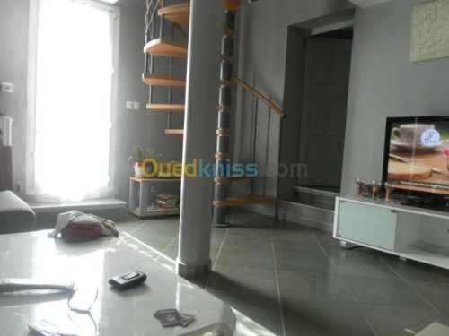 pose de faux plafond cloison décoratio