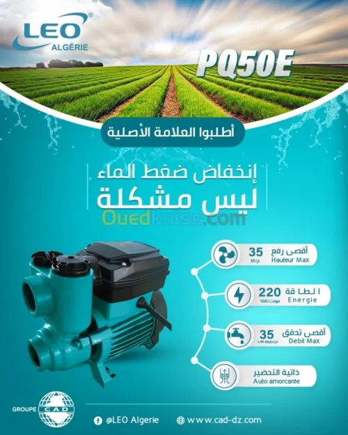 Infographe/designer-/مصمم 