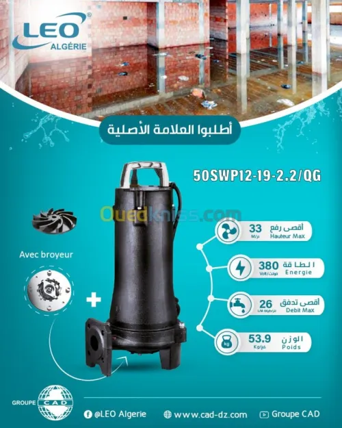 Infographe/designer-/مصمم 