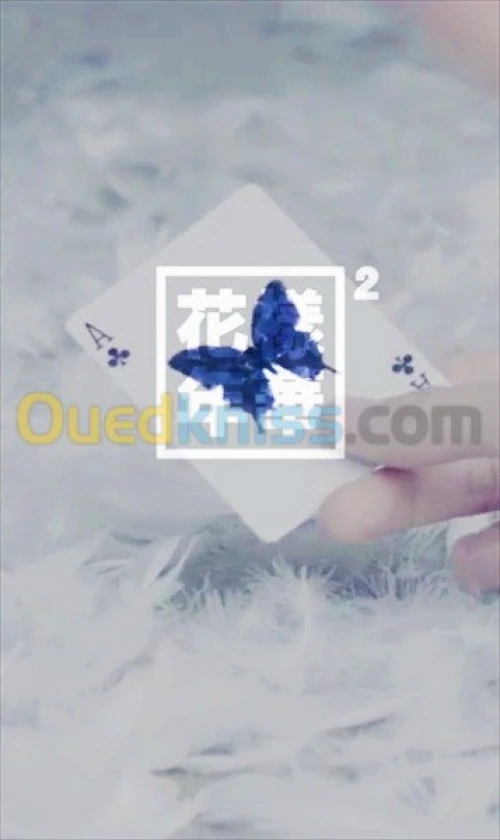  offre de services comptabilité