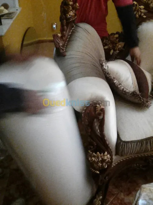 DEMENAGEMENT DES PARTICULIER83%