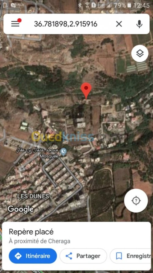 Vente Terrain Alger Cheraga