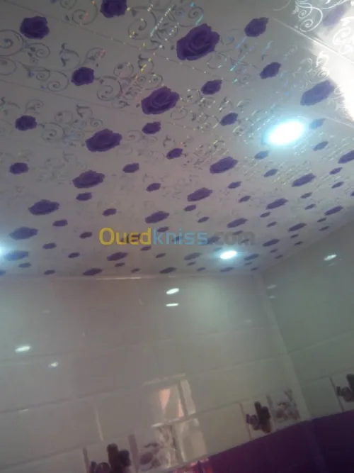 masonery general +plomber