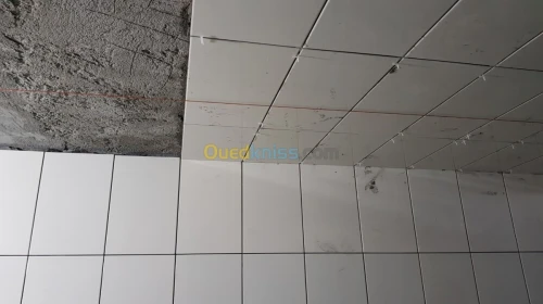 masonery general +plomber