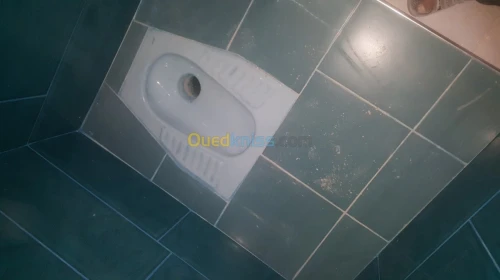 masonery general +plomber