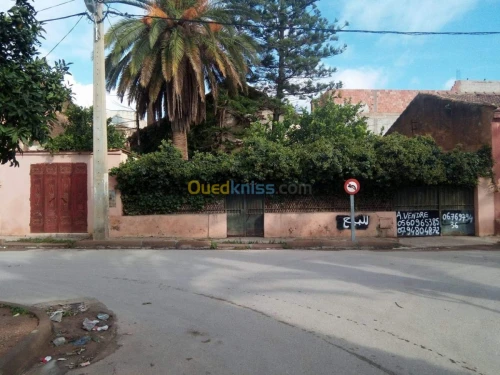 Vente Villa Mascara Tighennif