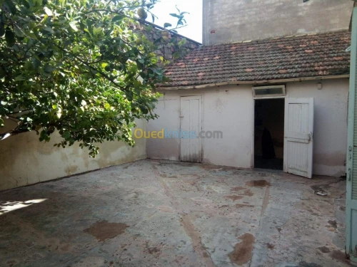 Vente Villa Mascara Tighennif