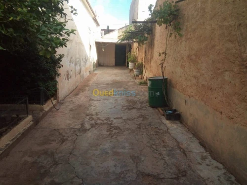 Vente Villa Mascara Tighennif