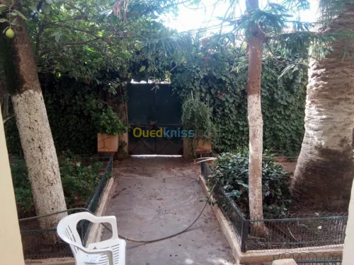 Vente Villa Mascara Tighennif