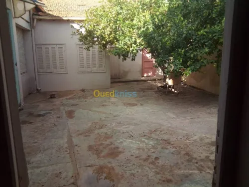 Vente Villa Mascara Tighennif