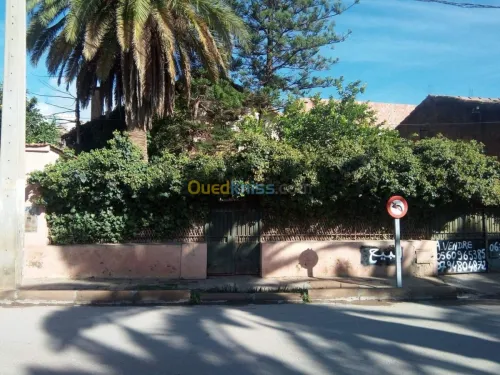 Vente Villa Mascara Tighennif