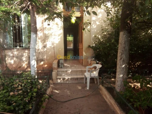 Vente Villa Mascara Tighennif