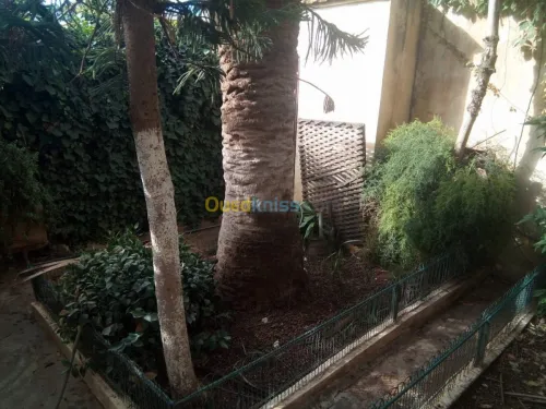 Vente Villa Mascara Tighennif