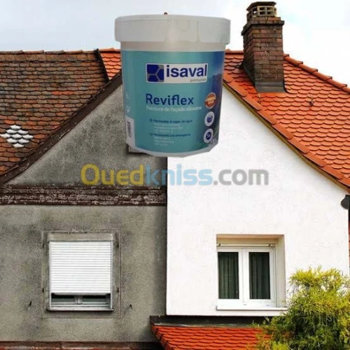 Peinture facade siloxane 