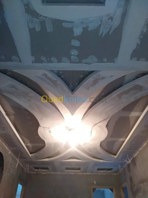decoration placoplatr ba13/تركيب بلاكو