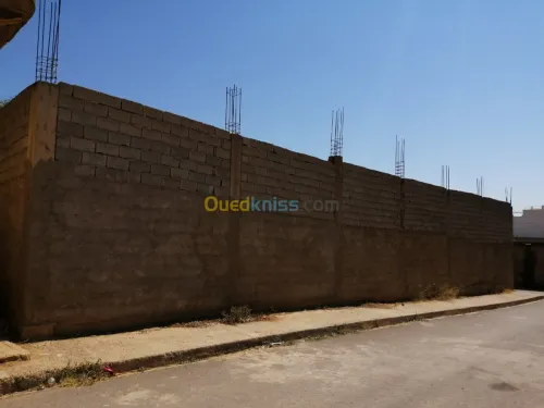 Vente Terrain Relizane Ouarizane