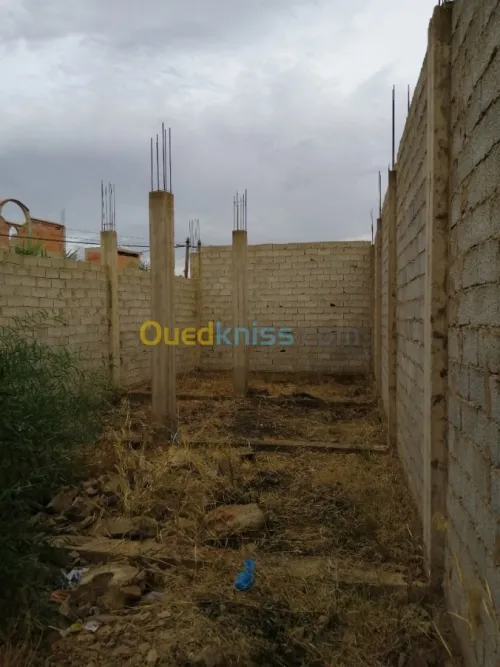 Vente Terrain Relizane Ouarizane