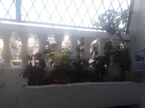 Vente Appartement F3 Annaba Chetaibi