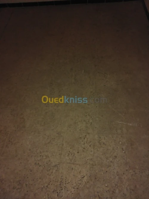 Ponçage et lustrage des sols