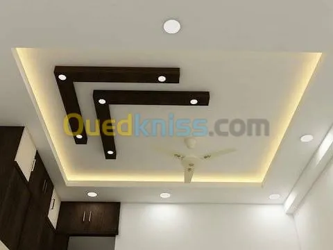 plafond BA13 , PVC , et Decoration