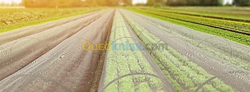 Filet Anti-Insectes / شبكة حماية المحاصيل ضد الحشرات