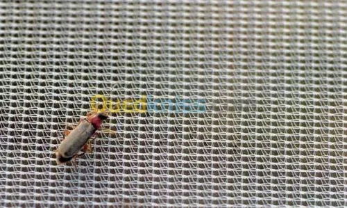 Filet Anti-Insectes / شبكة حماية المحاصيل ضد الحشرات