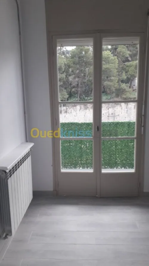 Location Appartement F3 Alger Sidi mhamed