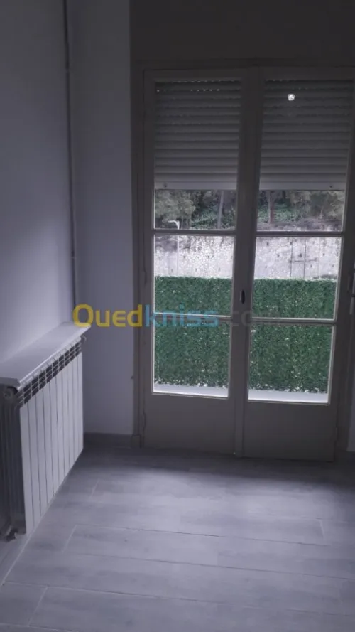 Location Appartement F3 Alger Sidi mhamed