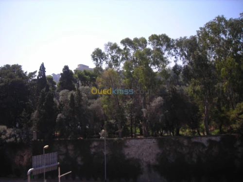 Location Appartement F3 Alger Sidi mhamed