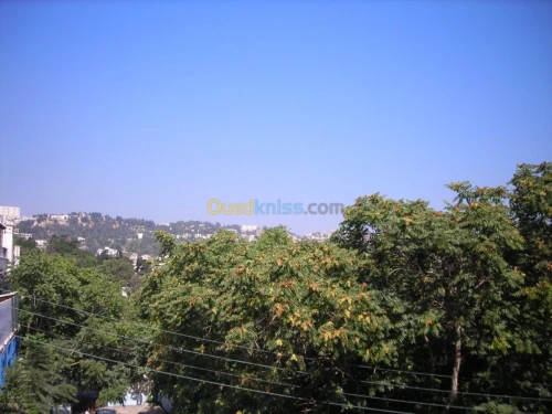 Location Appartement F3 Alger Sidi mhamed