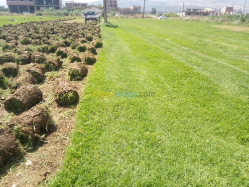 خدمات تھيئة المساحات الخضراء