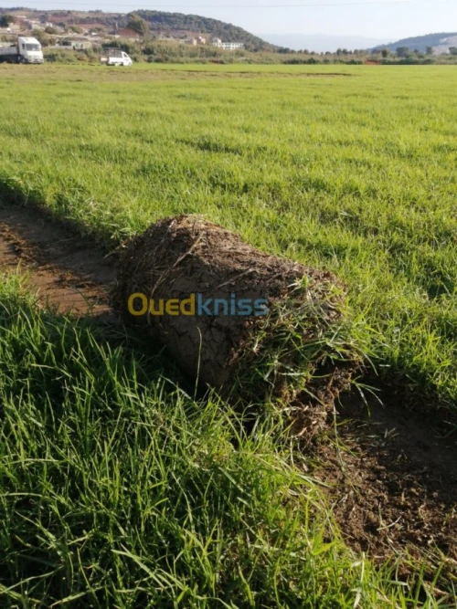 خدمات تھيئة المساحات الخضراء