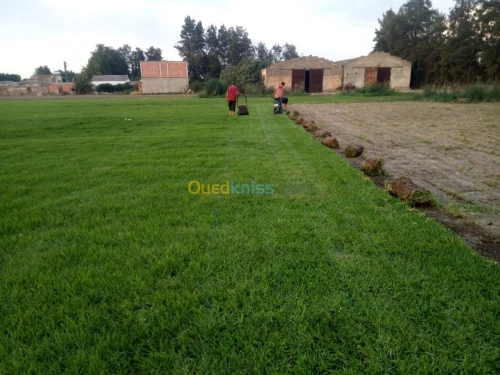 خدمات تھيئة المساحات الخضراء