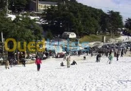 une excursion à Chréa   -Blida  