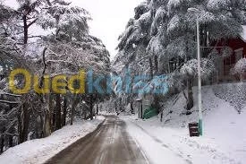 une excursion à Chréa   -Blida  