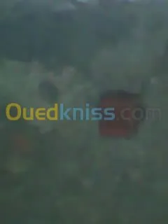 كهربائي électricien