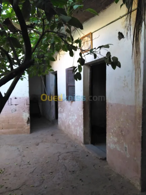 Vente Niveau De Villa F5 Laghouat Laghouat