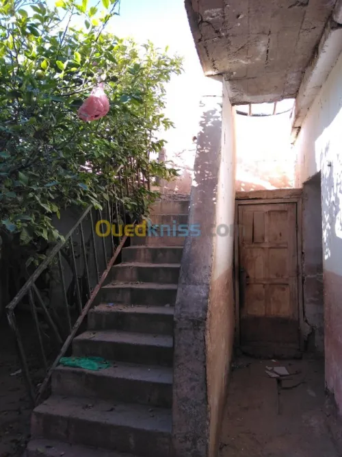 Vente Niveau De Villa F5 Laghouat Laghouat