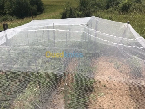 FILET ANTI GREL / شبكة حماية المحاصيل ضد البرد