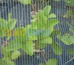 FILET ANTI GREL / شبكة حماية المحاصيل ضد البرد