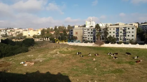 Location Appartement F4 Alger Dely brahim