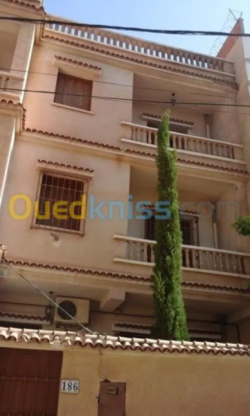 maçon professionnel